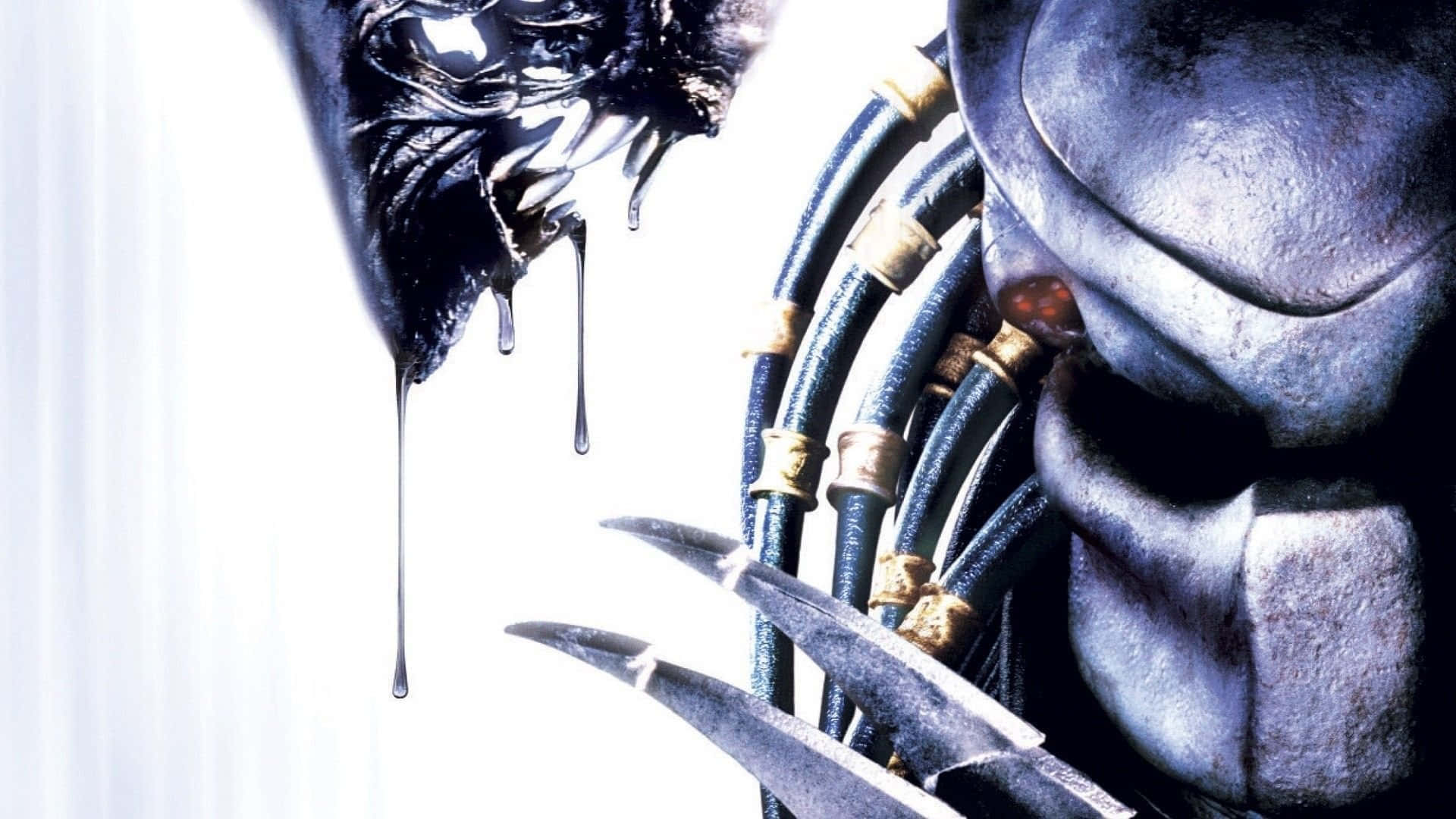 Alien Vs Predator Celtic Close Up Face Background