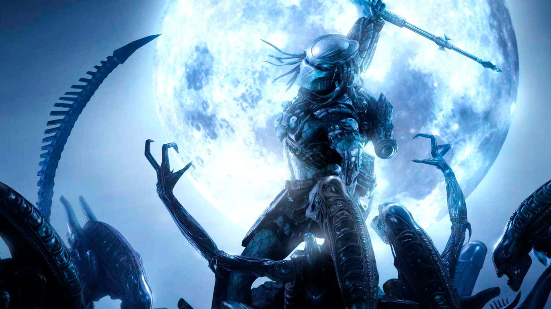 Alien Vs Predator Celtic Leading The Crowd