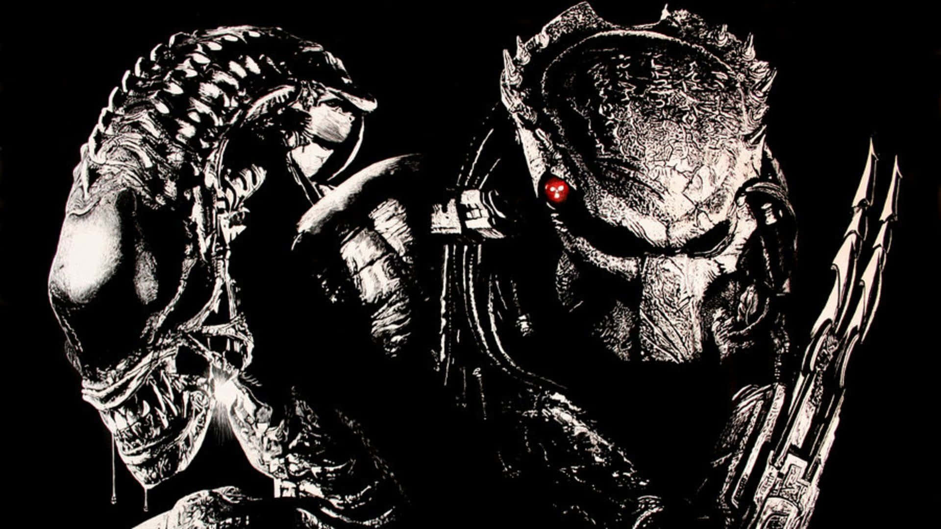 Alien Vs Predator Grid And Celtic Grayscale Background