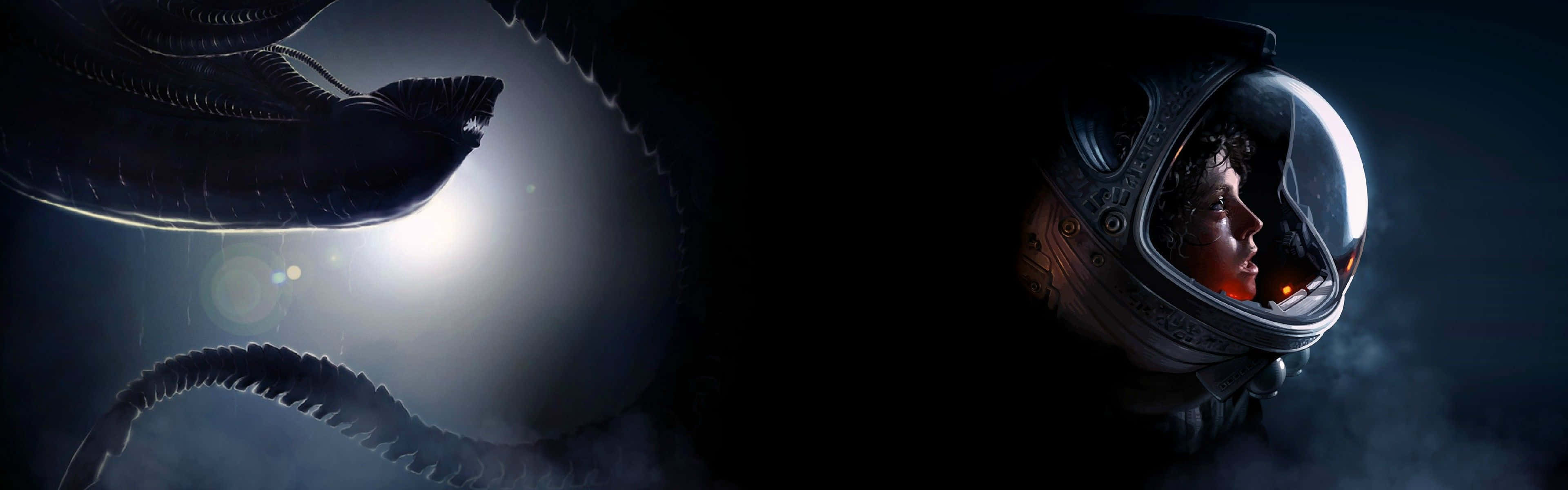 Aliens Vs Predator Hd Wallpaper Background