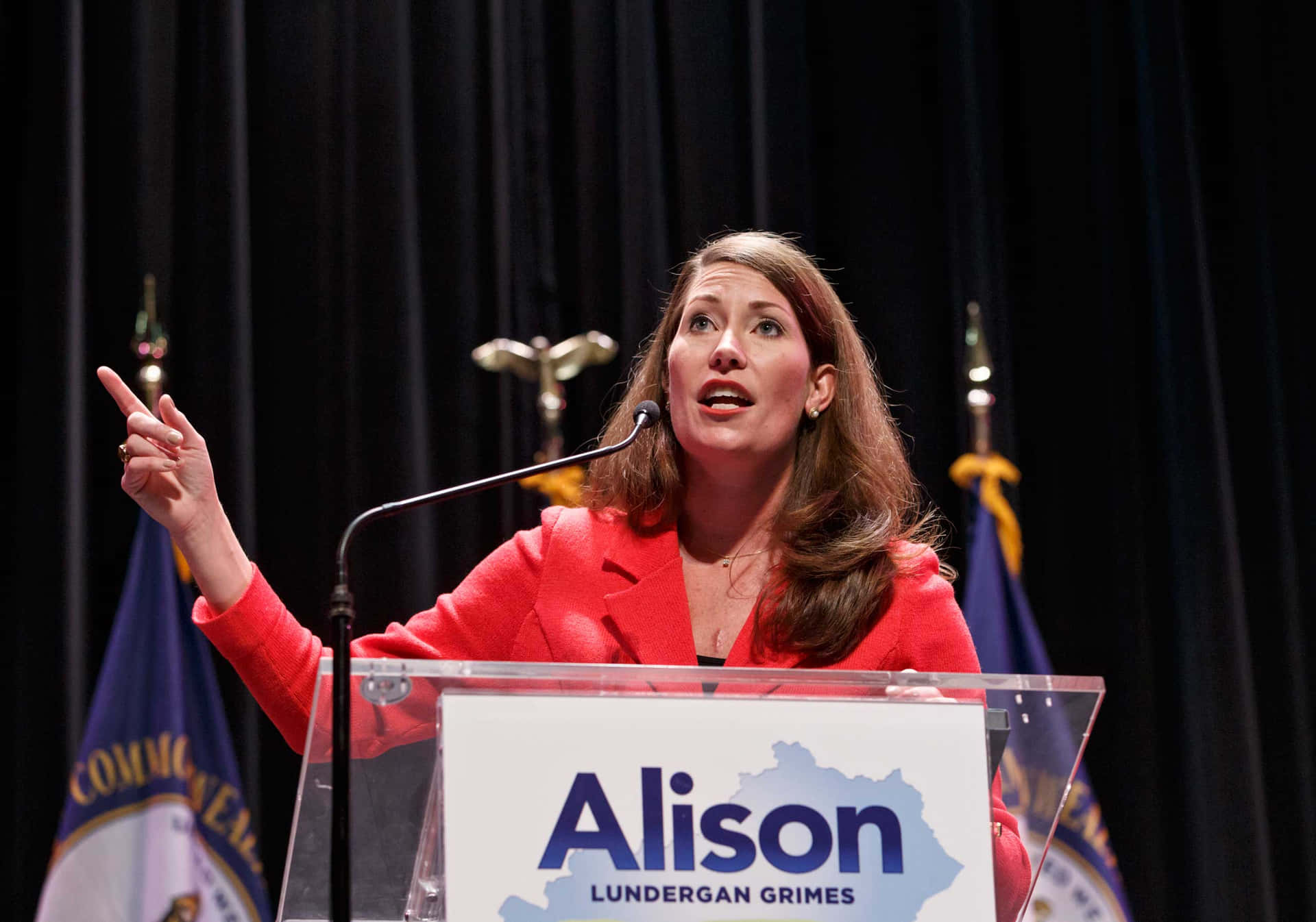 Alison Lundergan Grimes Banner Background