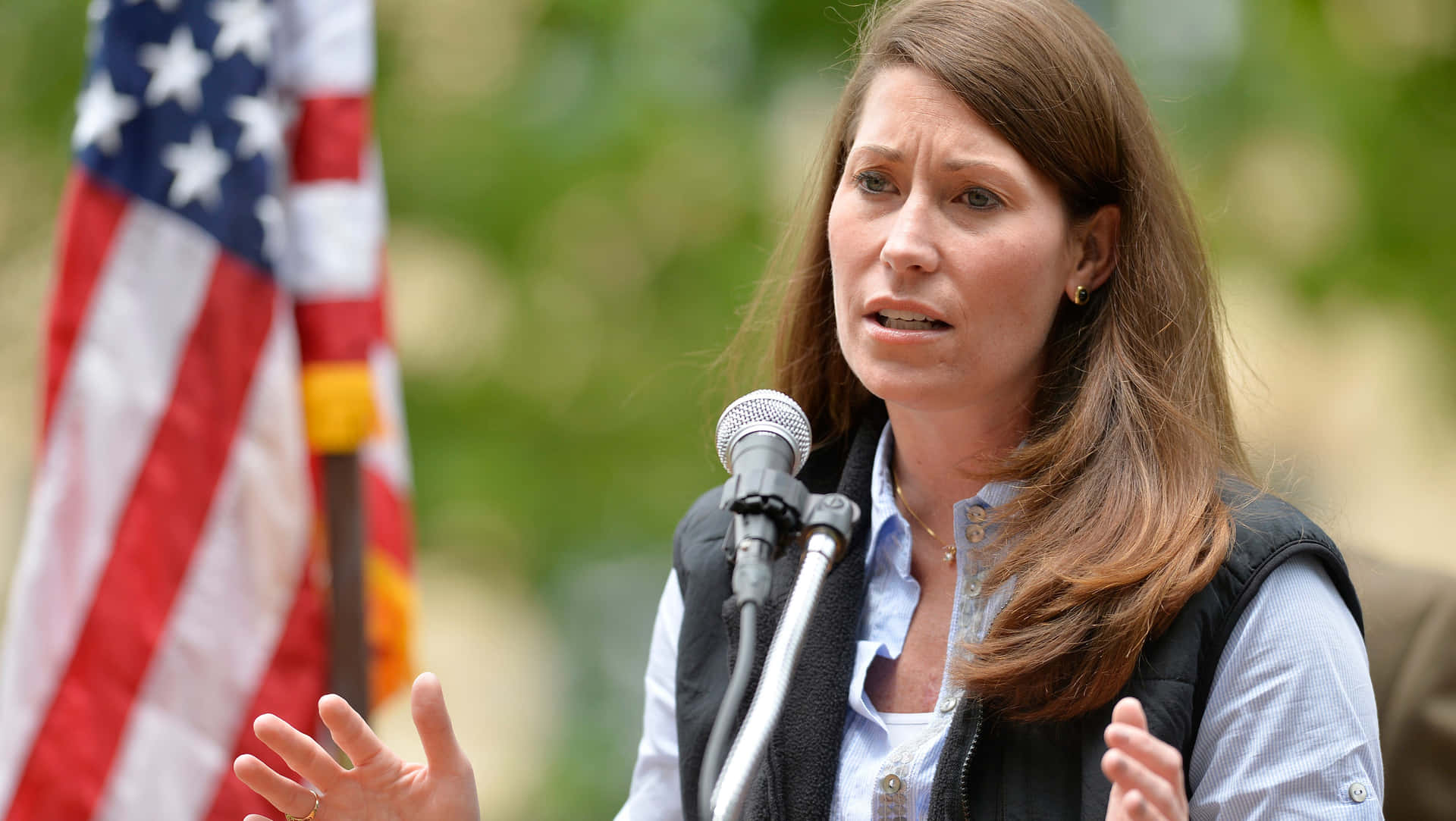 Alison Lundergan Grimes Beside Flag Background