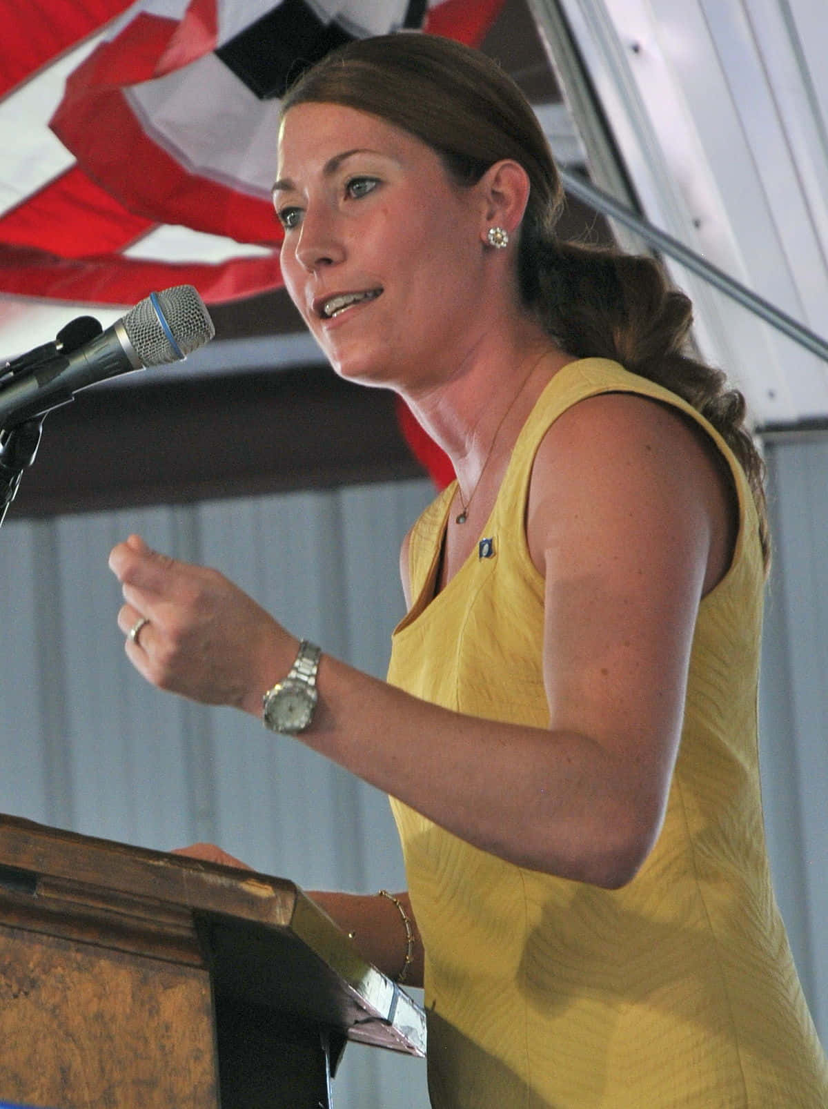 Alison Lundergan Grimes In Yellow Background
