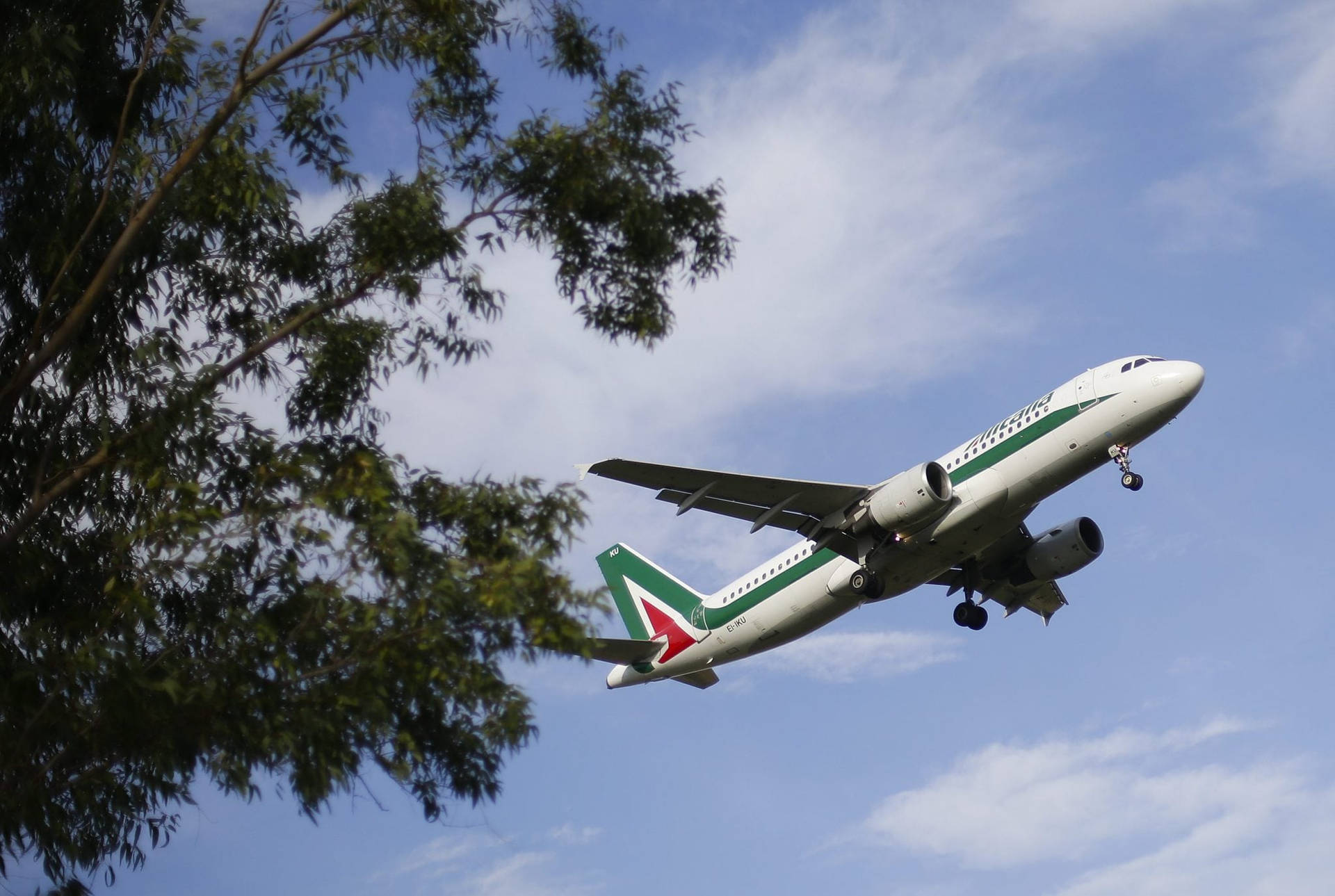 Alitalia Tree Background