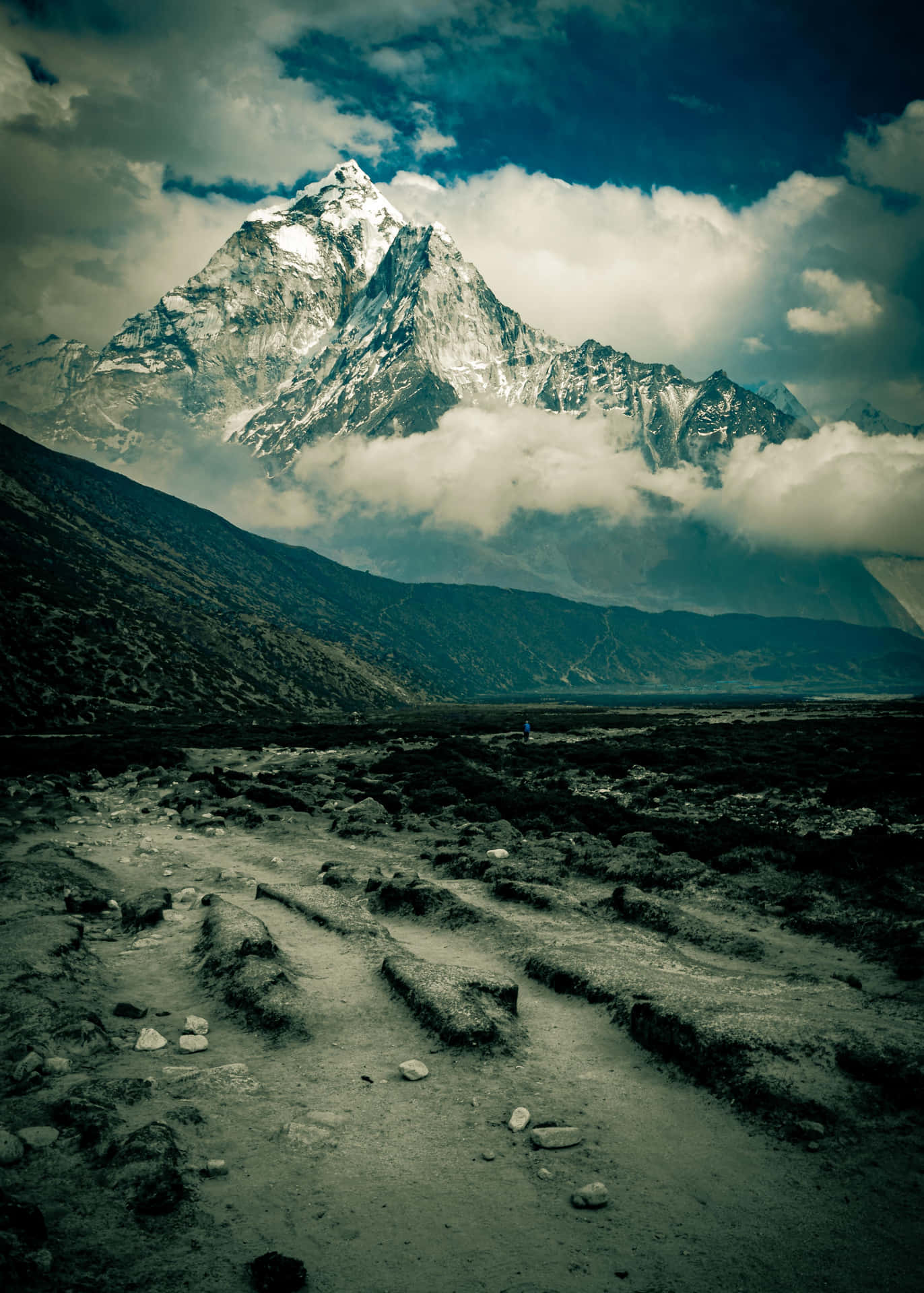 Alive Fuji Mountain Background