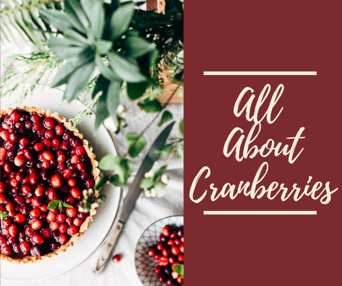 All About Cranberries Graphic Design Background