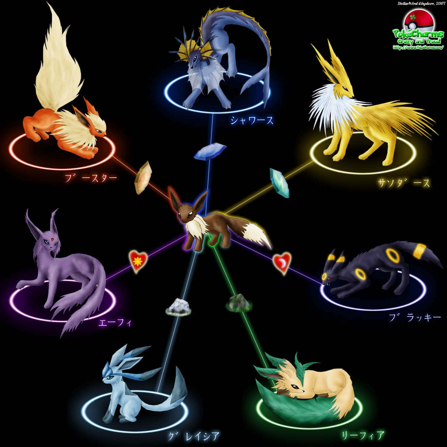All Around Pokémon Trainer: Eevee Background