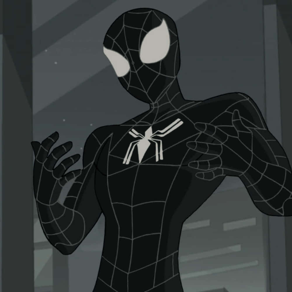 All-black Cartoon Spiderman Pfp Background