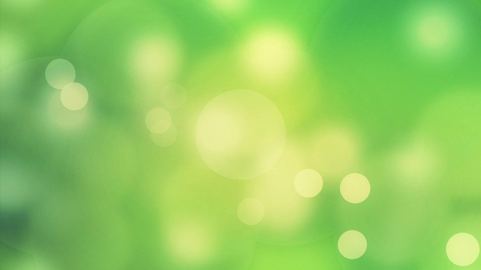 All Light Green Bokeh