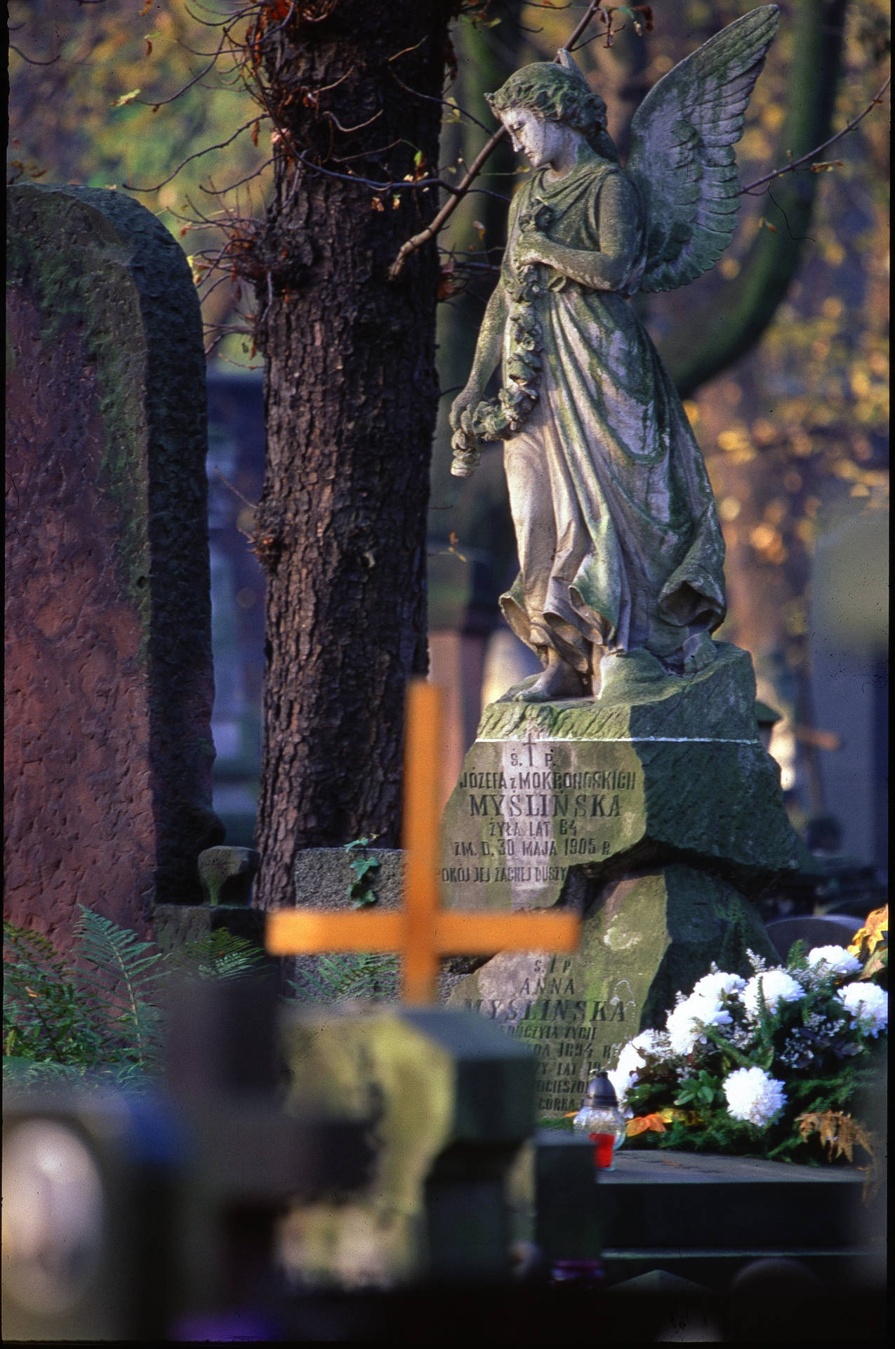 All Saints Day Angel Grave Background