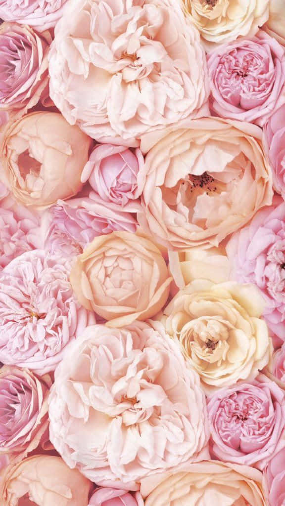 All The Blooms: Enjoy The Light Pink Floral Design Of This Iphone Background