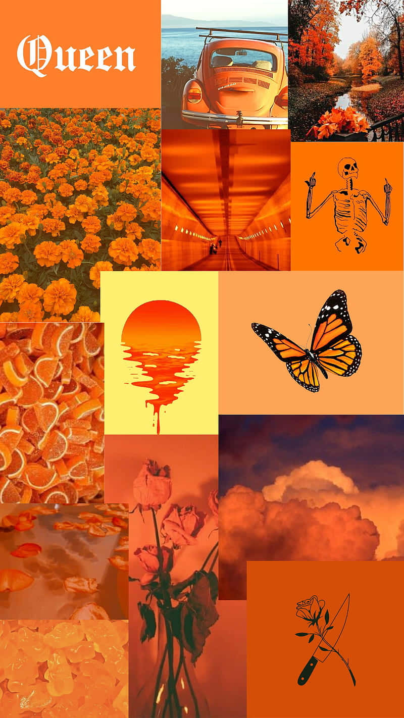 All Things Orange Aesthetic Phone Background