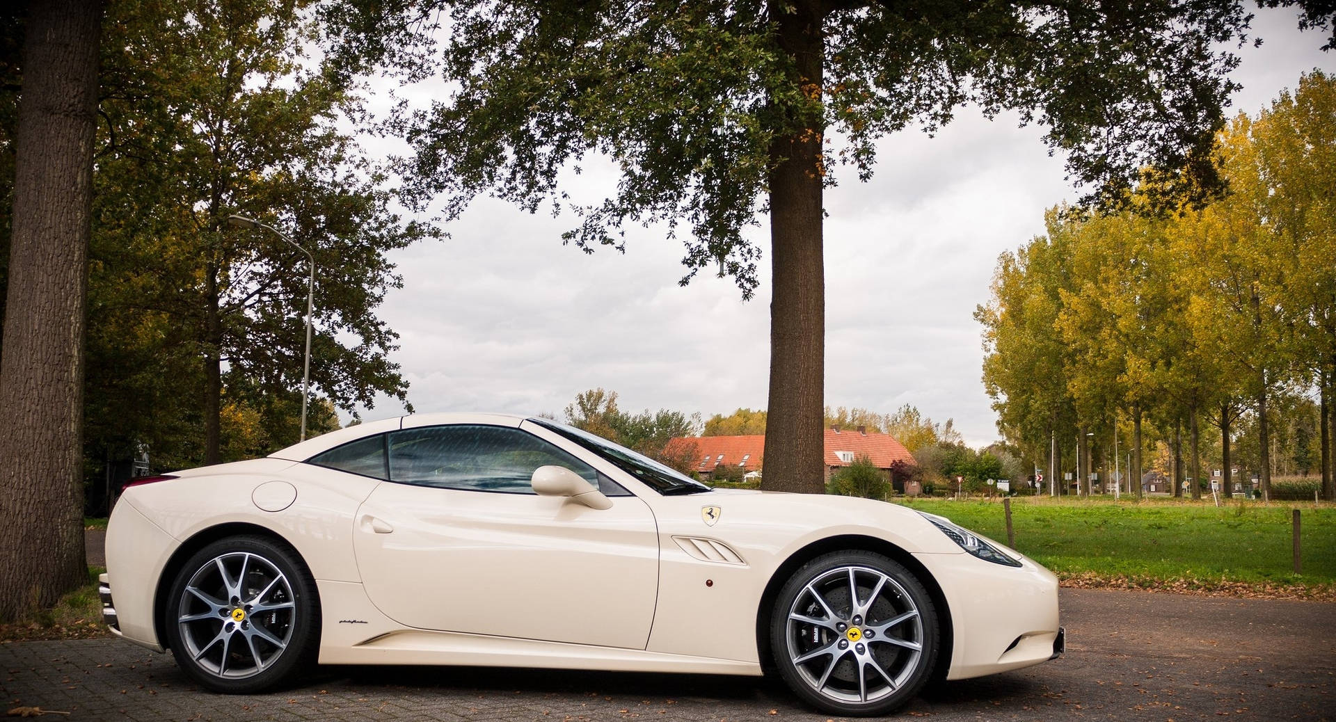 All-white Ferrari Background