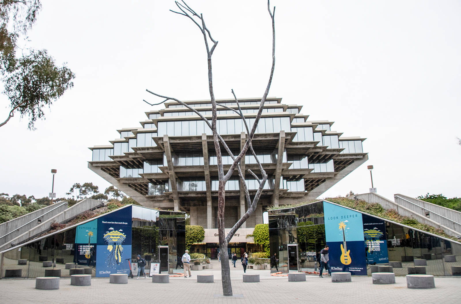 All White Sky Ucsd