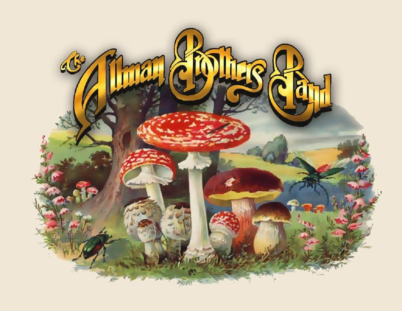 Allman Brothers Band Famous Album Cover Background