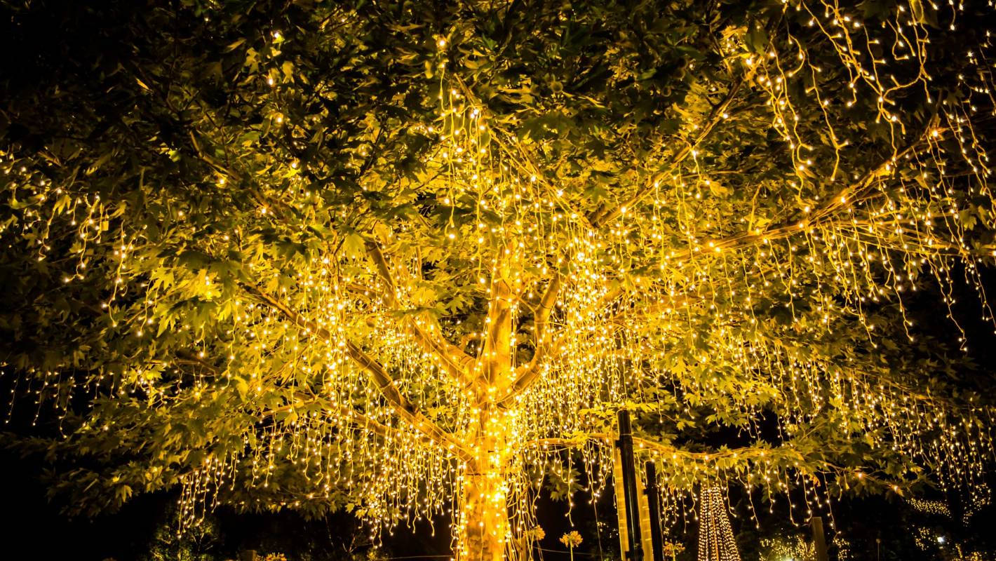 Allow The Enchanting Beauty Of Fairy Lights To Bring Your Aesthetic Dreams To Life. Background