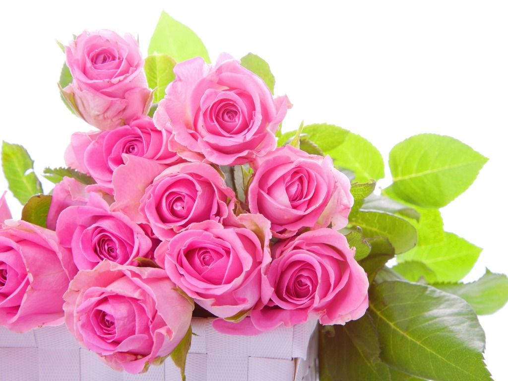 Alluring Bouquet Of Pink Roses Background