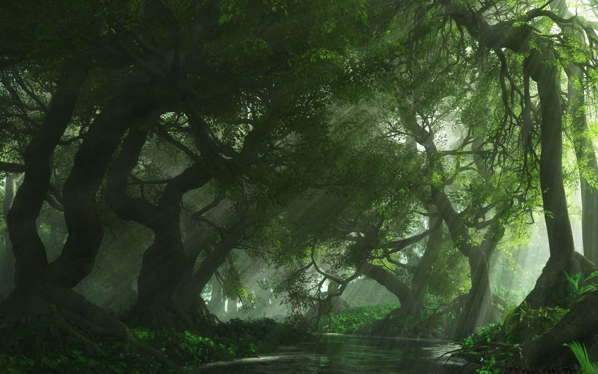 Alluring Dark Green Forest View Background