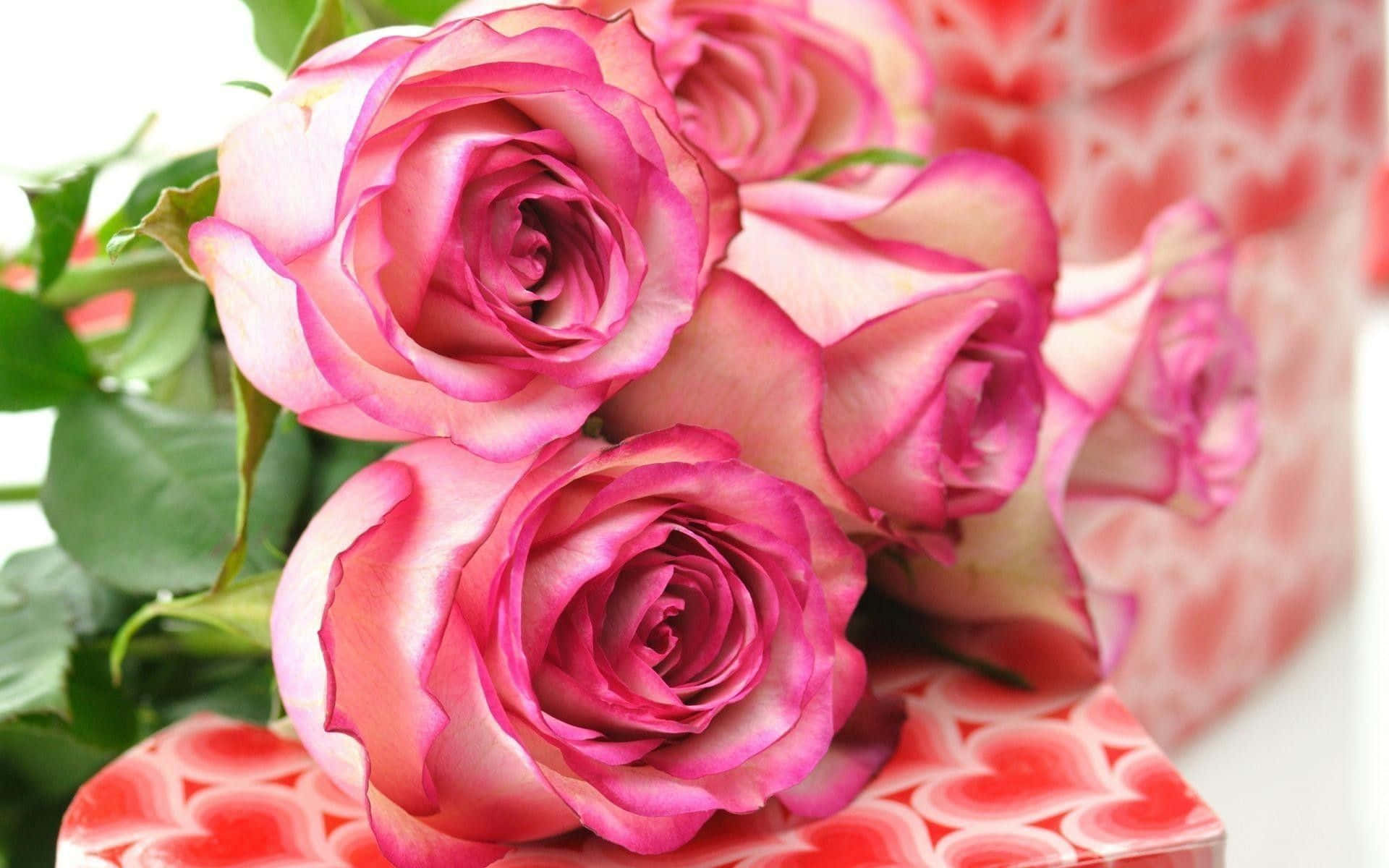 Alluring Petals Of The Most Beautiful Roses Background