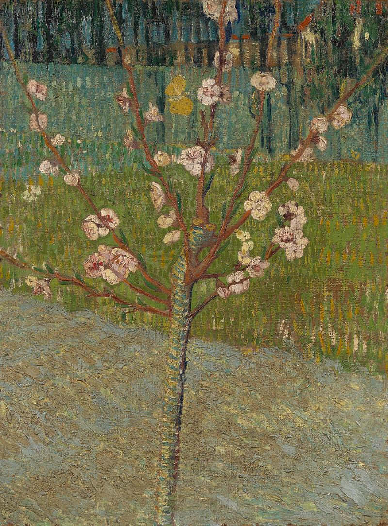 Almond Blossoms By Van Gogh Background