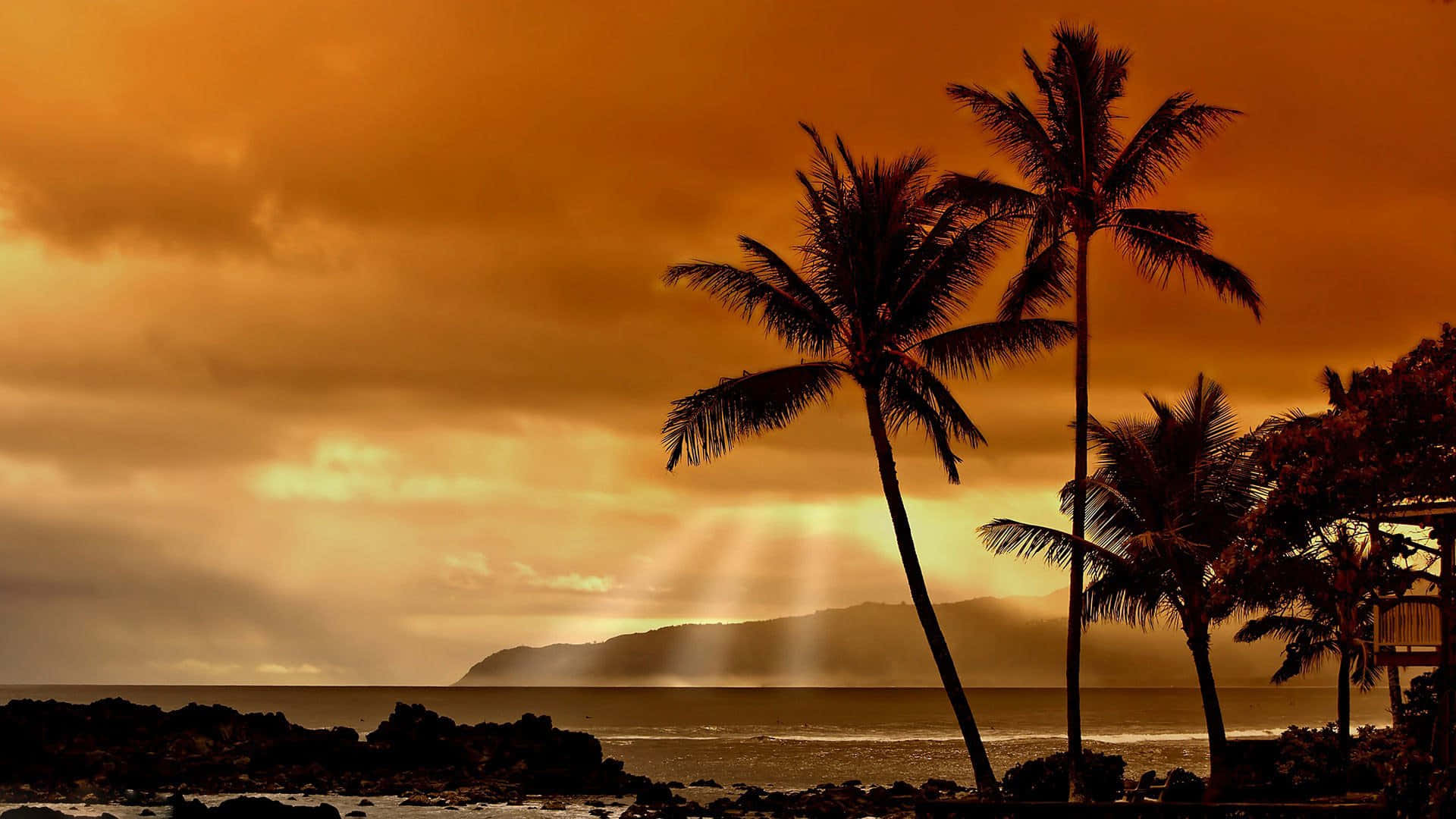 Aloha! Enjoy The Sunset In Hawaii – An Idyllic Paradise Background