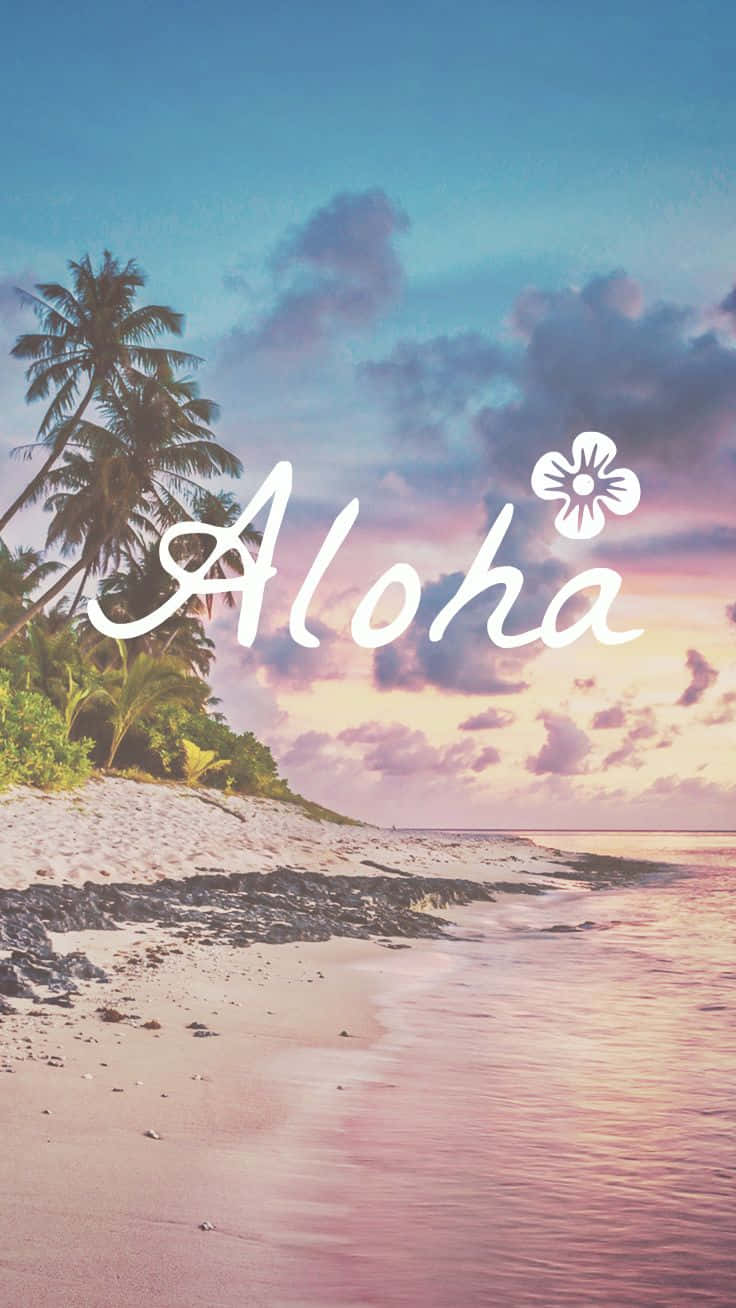 Aloha Trendy Summer Iphone Background