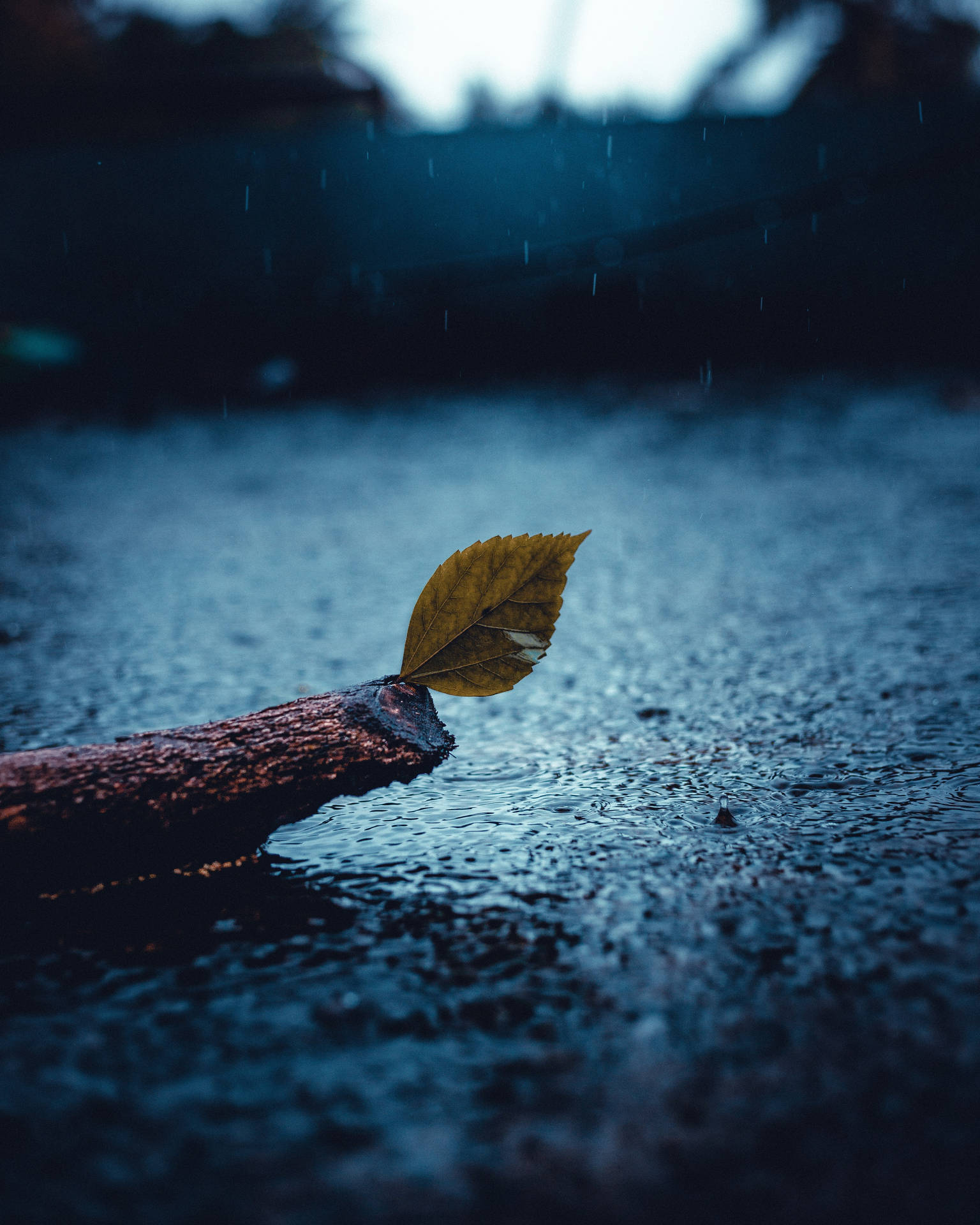 Alone In The Rain Background