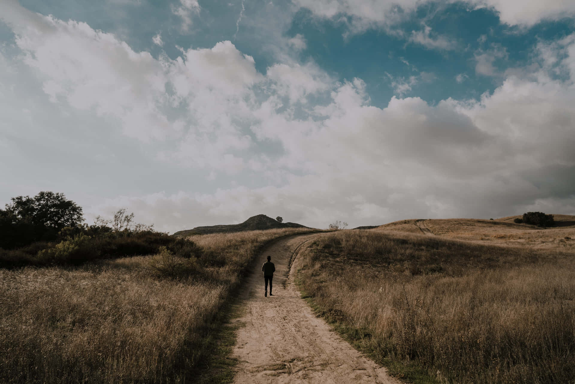 Alone Man In A Grassland Path Background