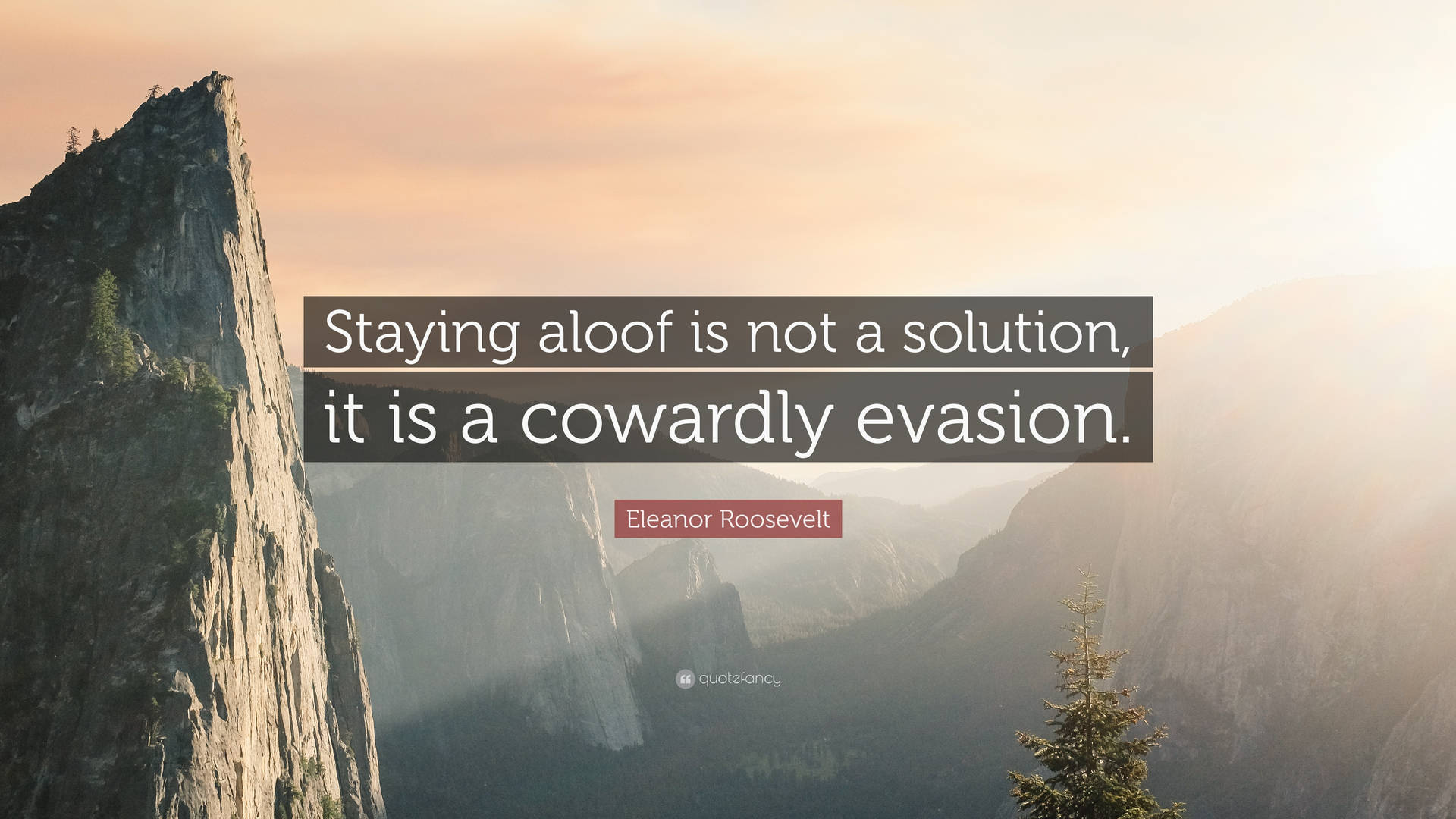 Aloofness Quote Eleanor Roosevelt Background