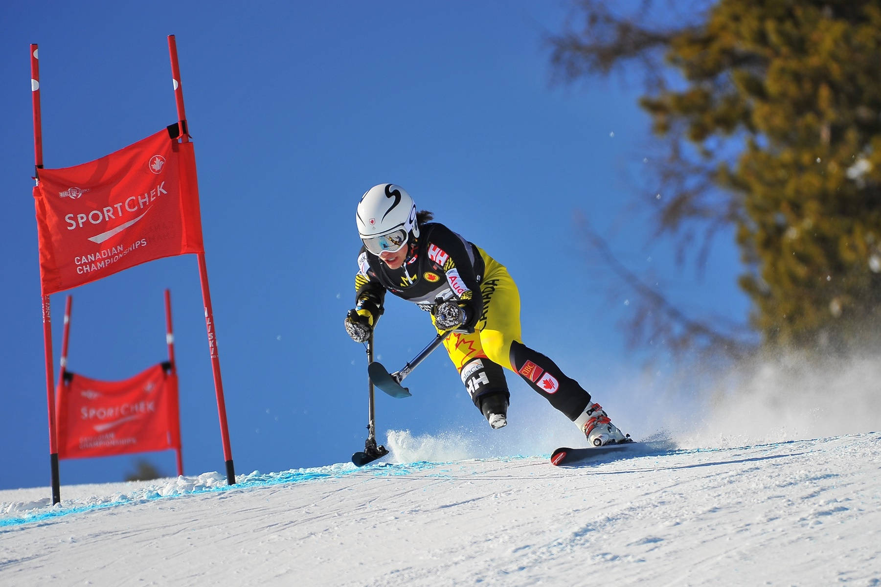 Alpine Skiing In The Kimberley Alpine Resort Background