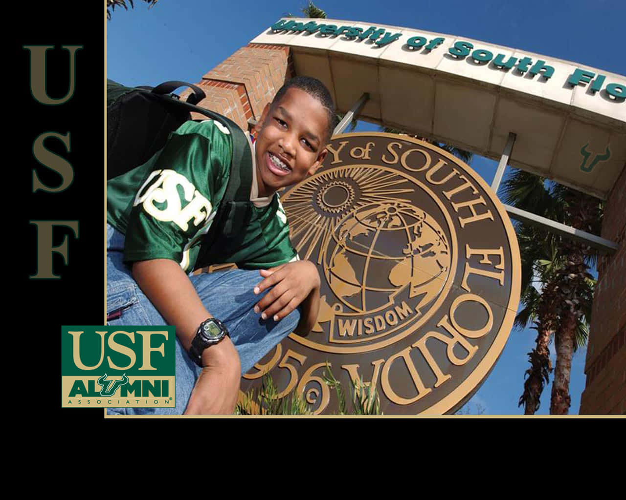 Alumni Student University Of South Florida Background