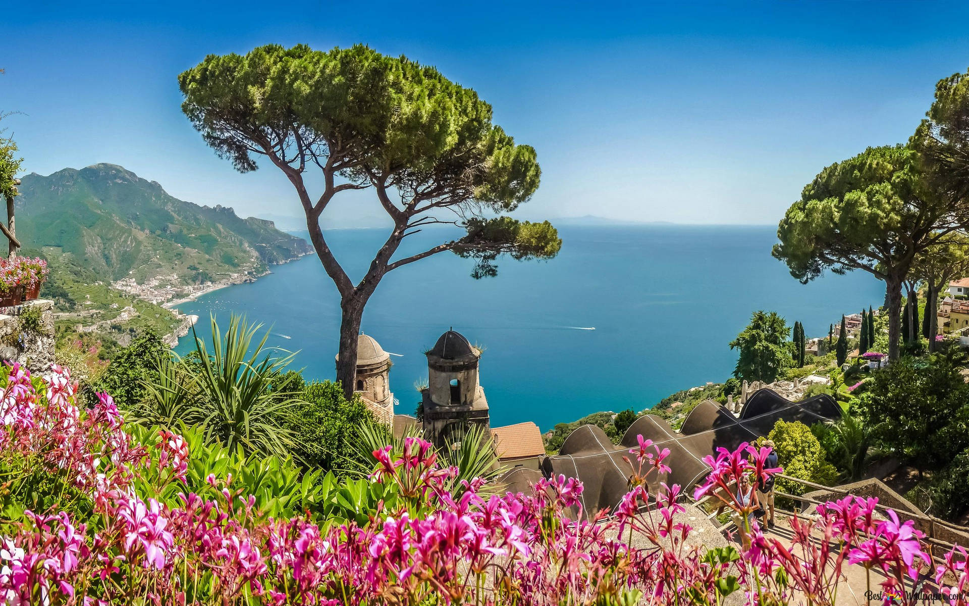 Amalfi Coast Pink Botanical Garden Background