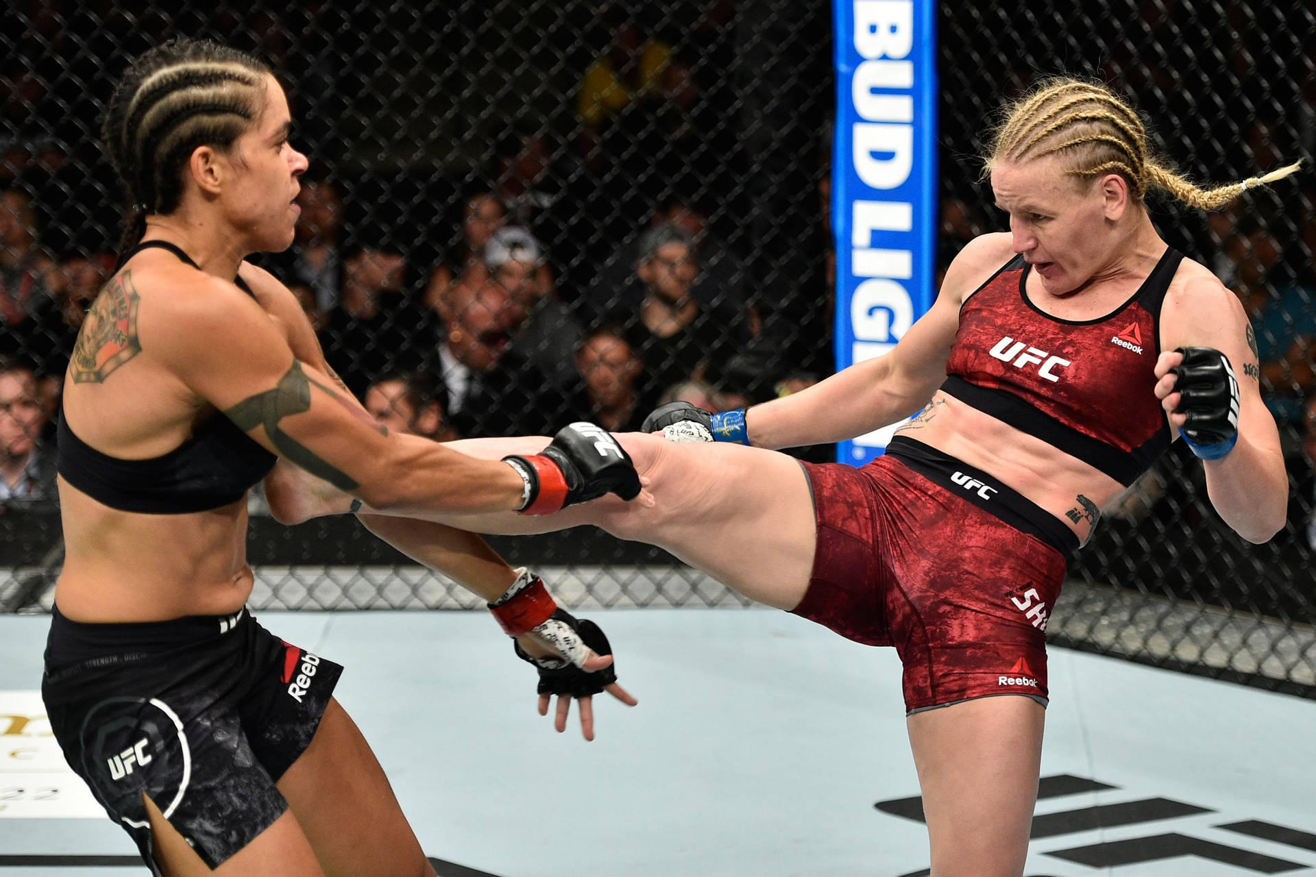 Amanda Nunes Fighting Valentina Shevchenko Background