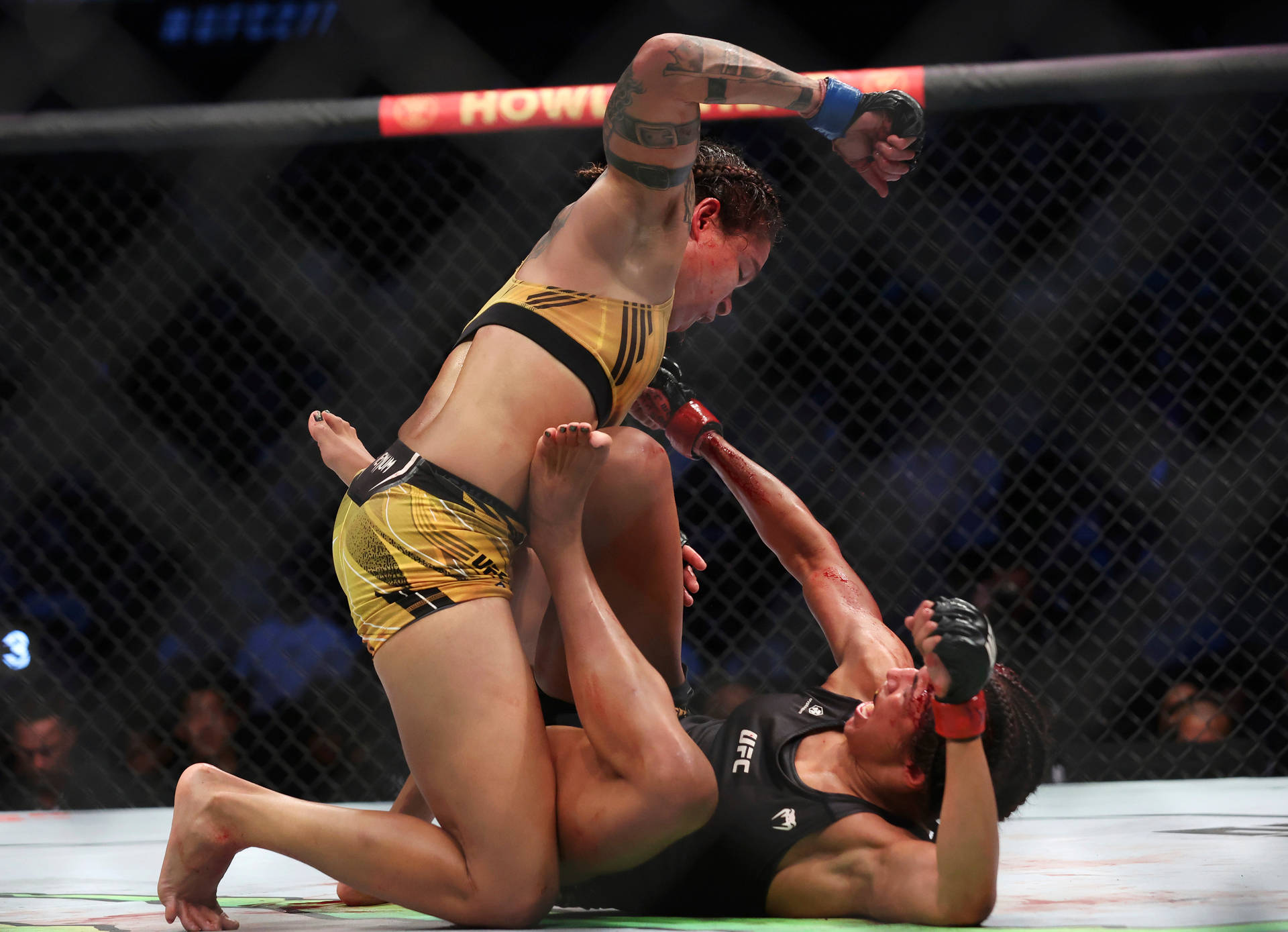 Amanda Nunes Hitting Julianna Peña Background