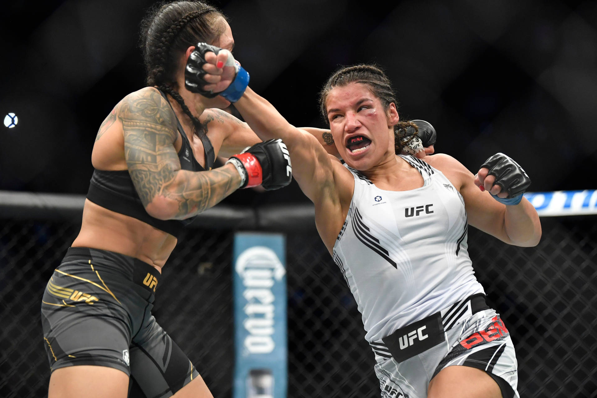 Amanda Nunes Missing Punch Of Julianna Peña Background