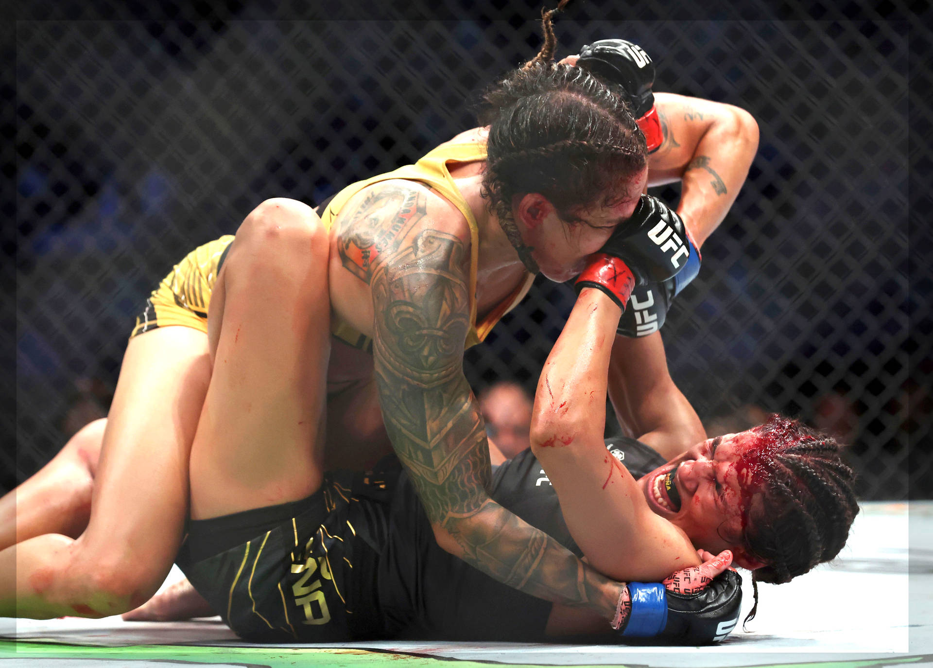 Amanda Nunes Vs Julianna Peña Background