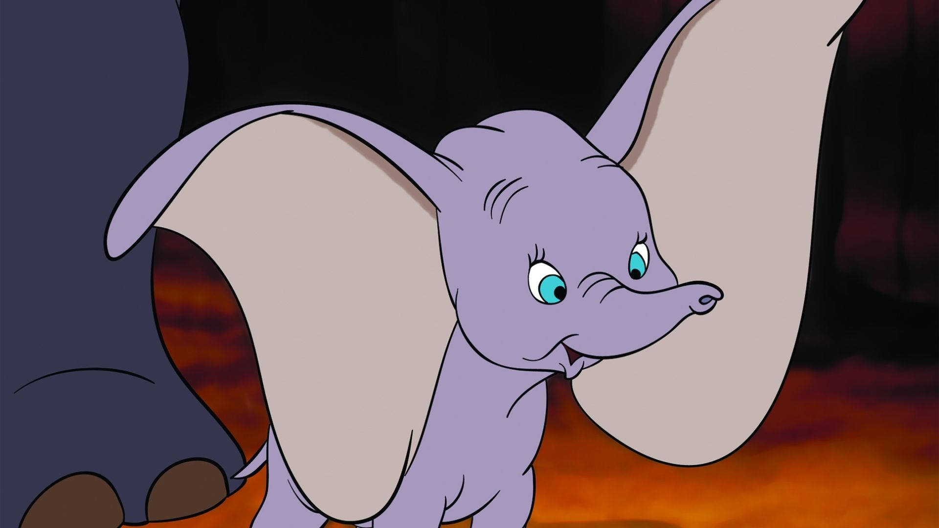 Amazed Baby Dumbo