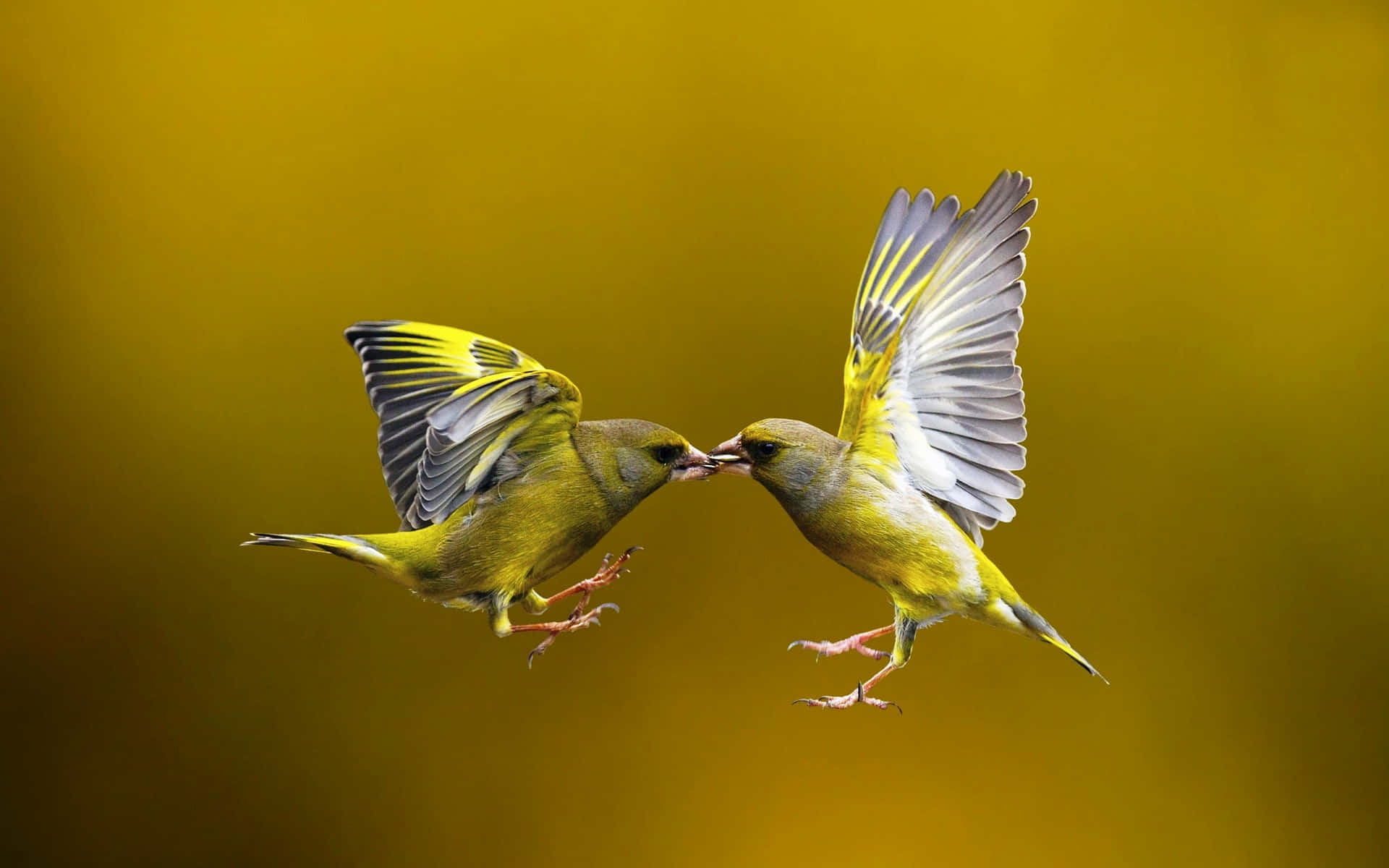 Amazing Beauty Both In Nature And Life