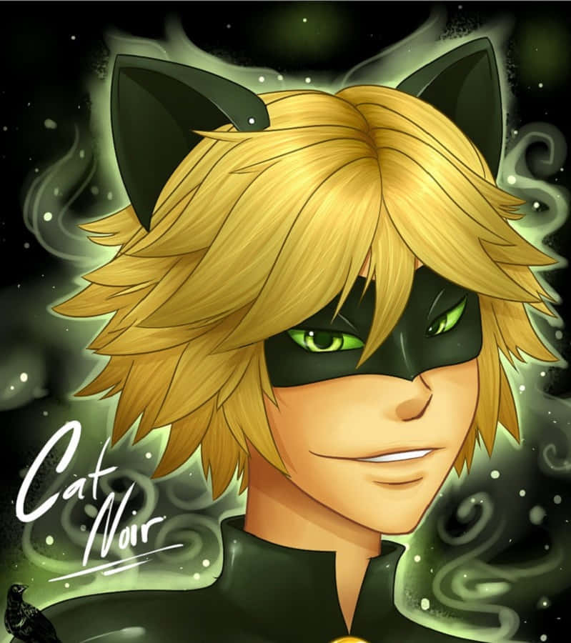 Amazing Cute Cat Noir Illustration Background