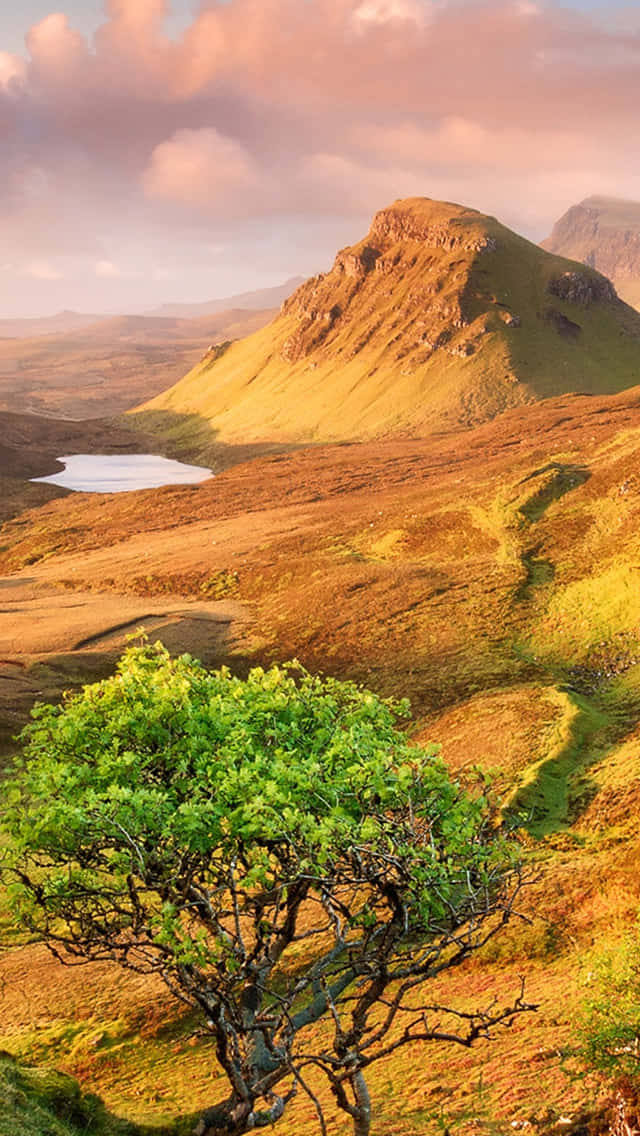 Amazing Desert Hills Background