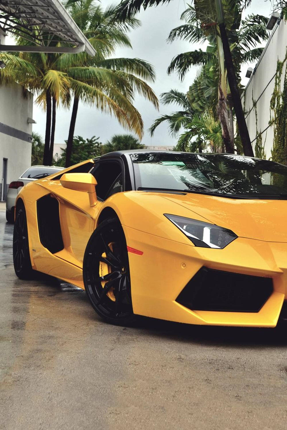 Amazing Iphone Lamborghini Background Background