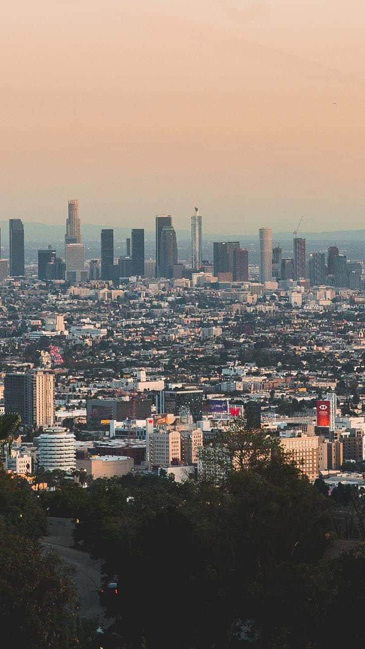 Amazing Los Angeles Iphone Theme Background
