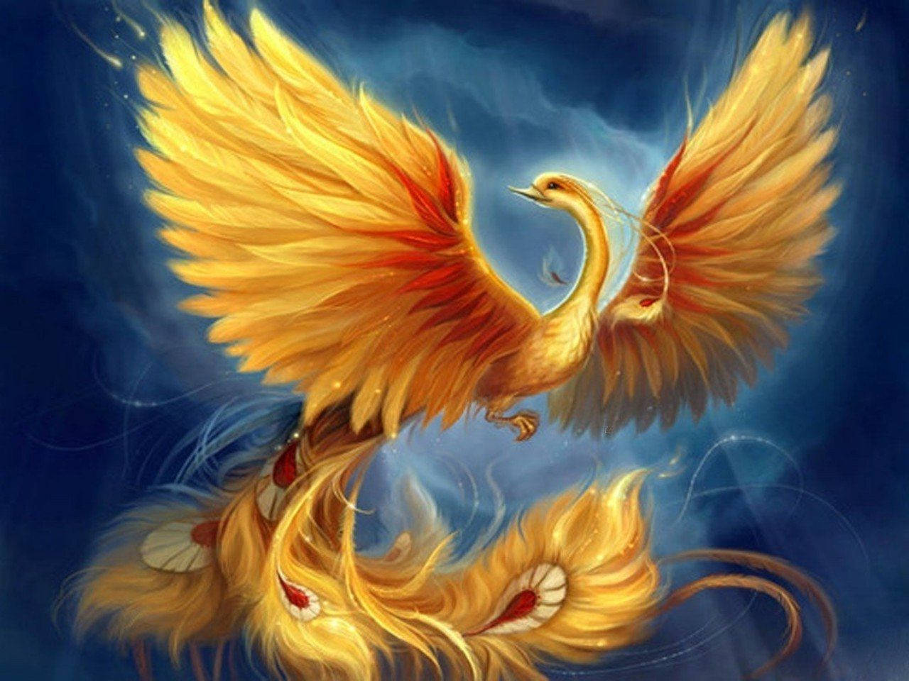 Amazing Phoenix Artwork Background