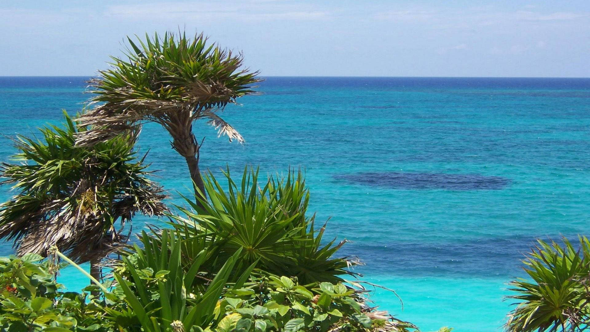 Amazing Seascape Of Cyprus Background