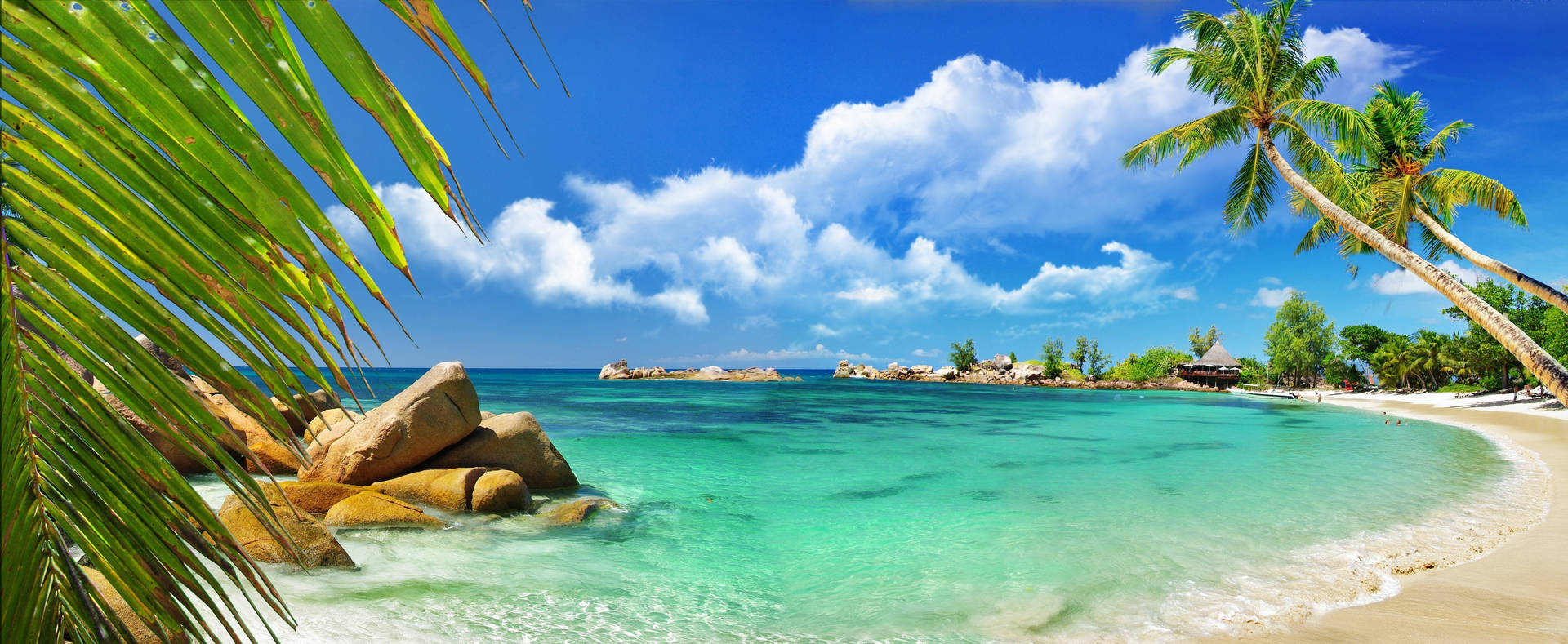 Amazing Seychelles Tropical View Background