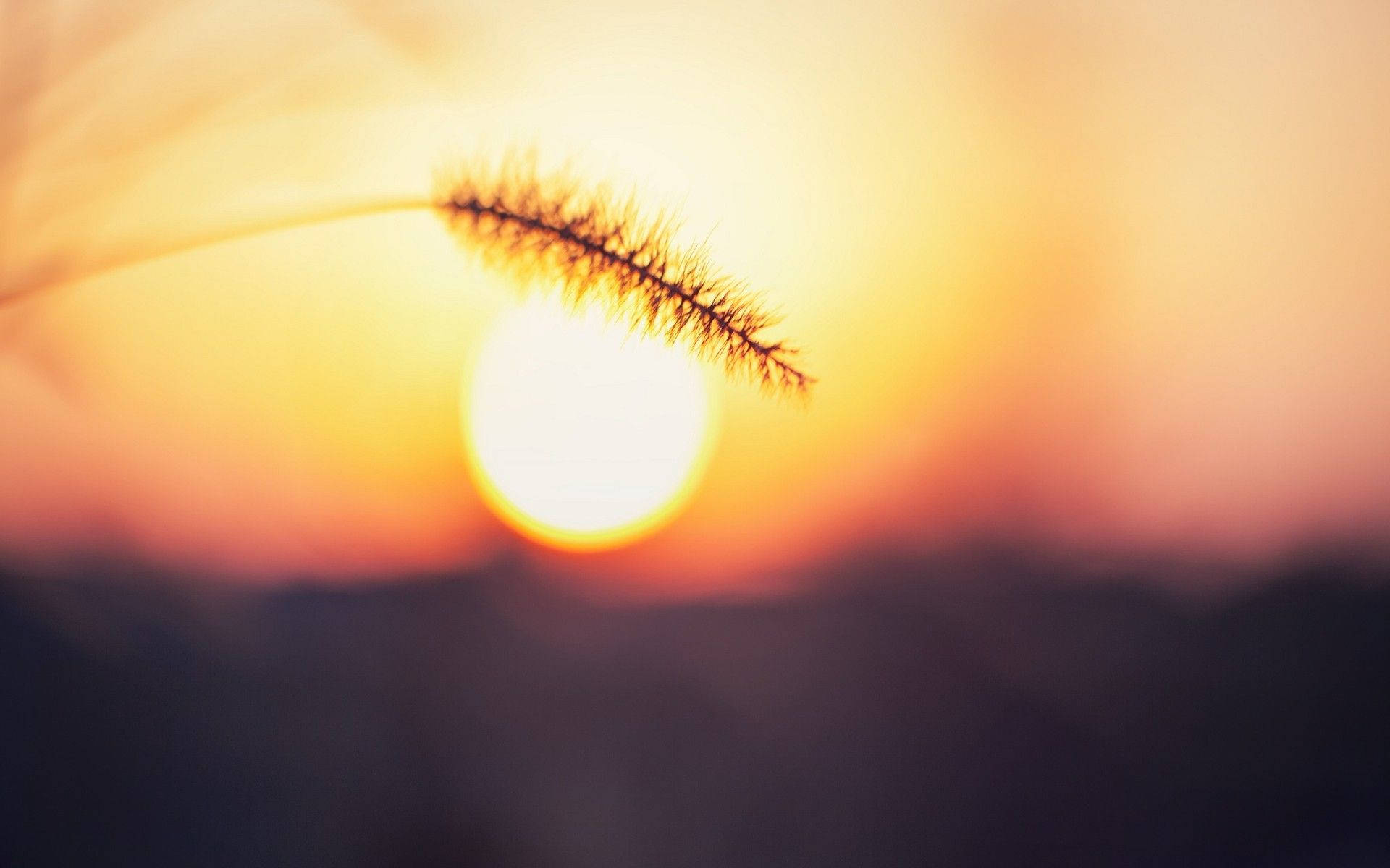 Amazing Sun Blur Background
