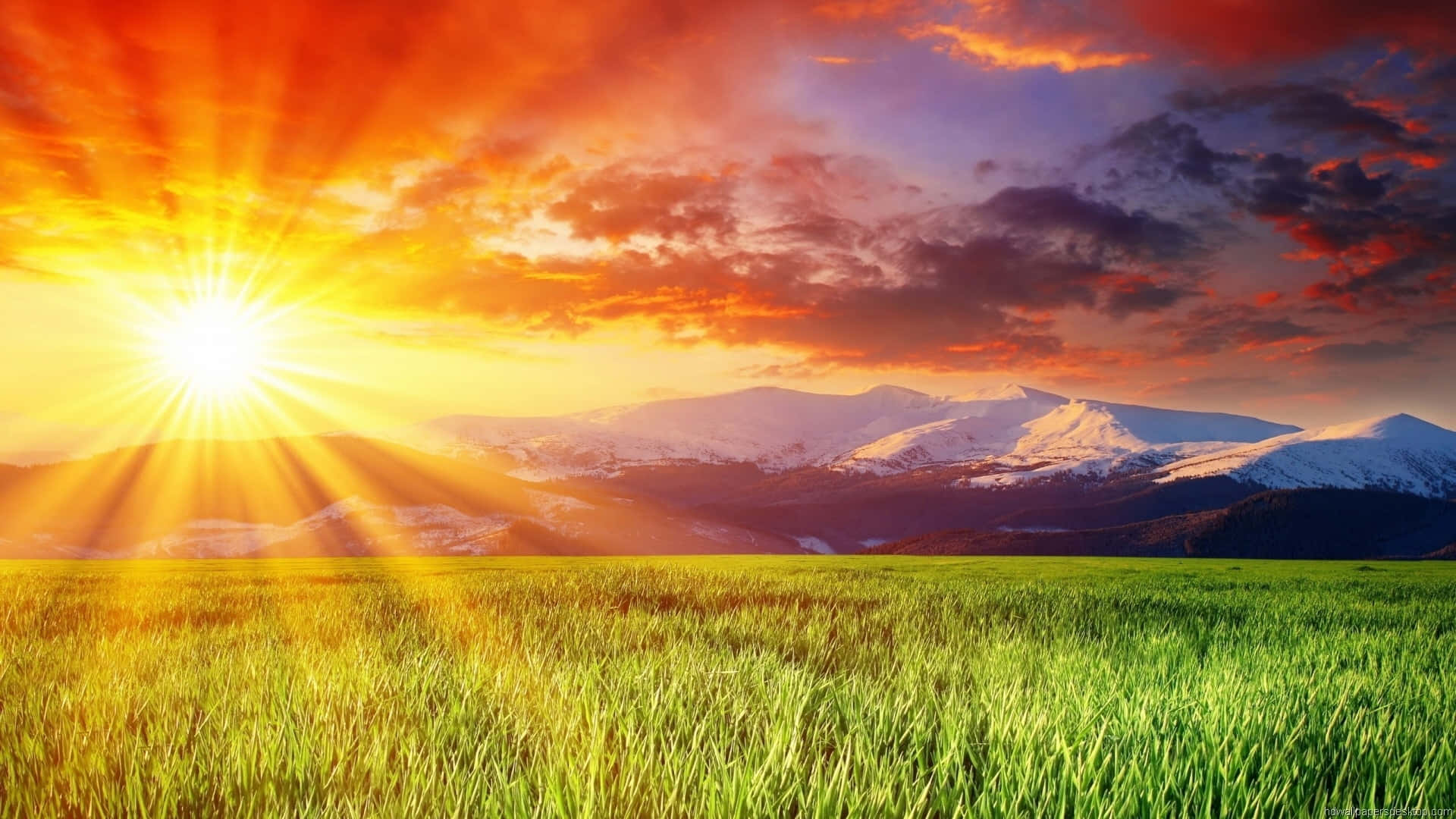 Amazing Sunny Rays During Sunset Background