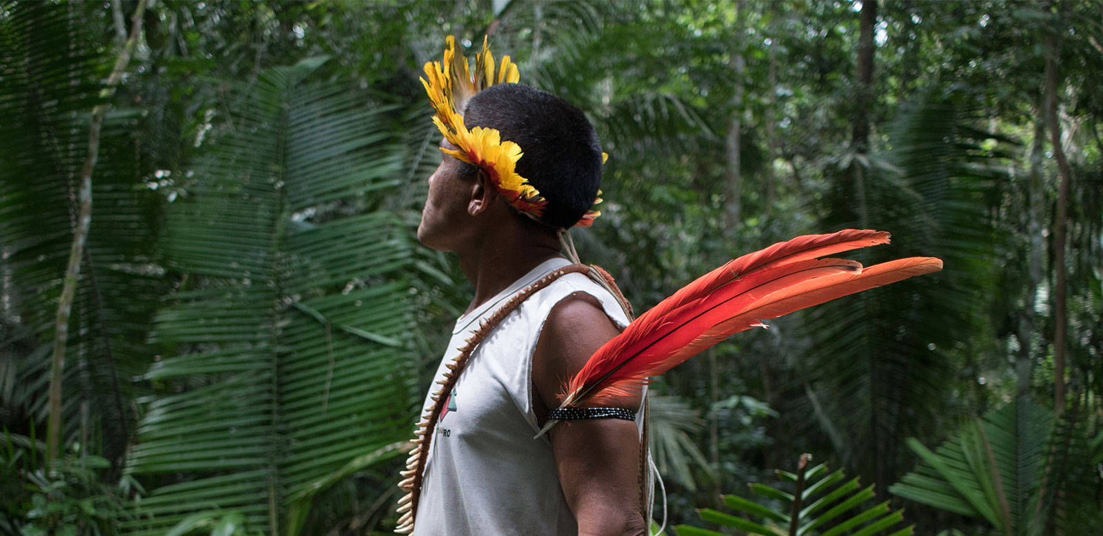 Amazonas Brazil Indigent Man Background