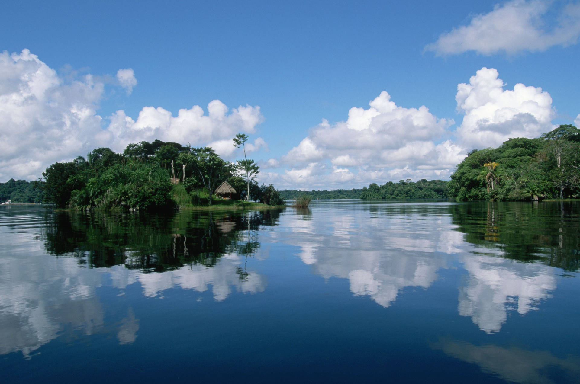 Amazonas Brazil River Background