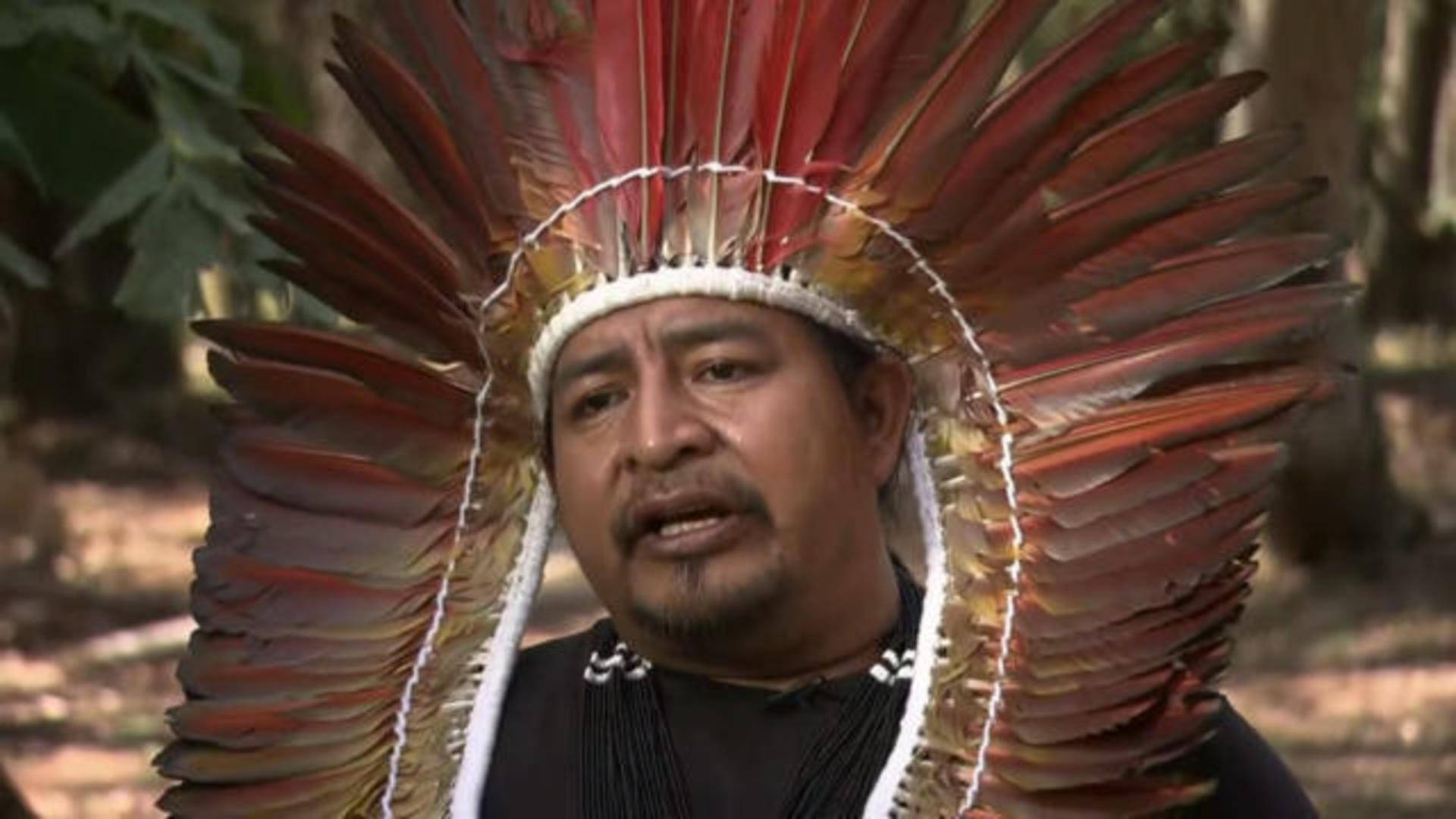 Amazonas Tribal Leader Background